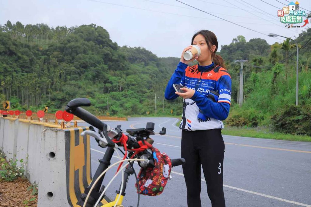 從舞鶴台地高點俯瞰花東縱谷綠色田野與遠山的開闊景色
