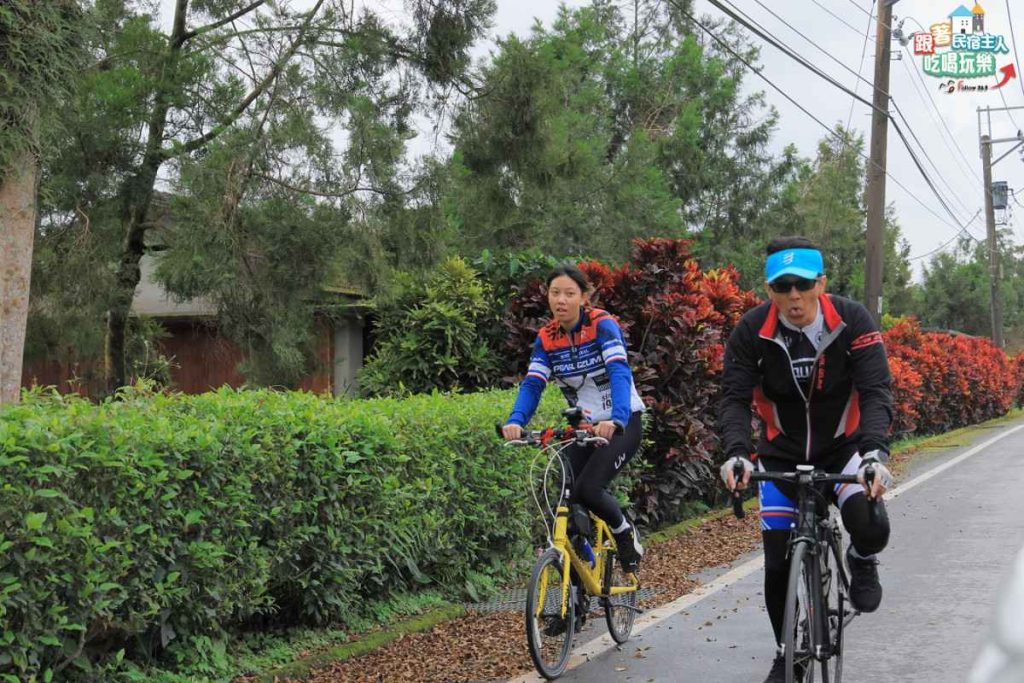 大農大富平地森林園區筆直公路兩側國旗在強風中飄揚的壯觀景象